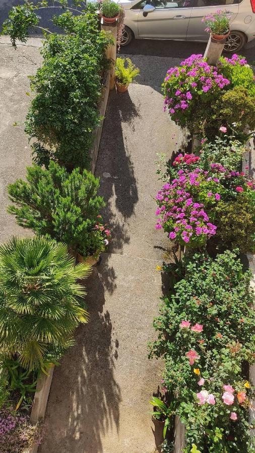 Appartement Casa Mare E Monti